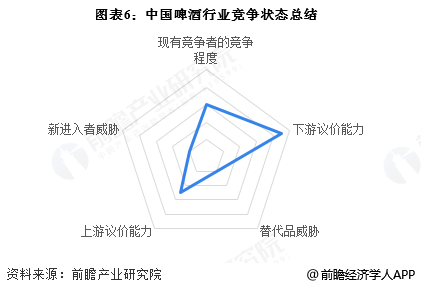图表6：中国啤酒行业竞争状态总结