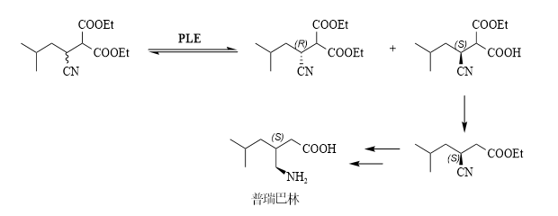 微信图片_2026-03-25_171012_690.png 微信图片_2026-03-25_171012_690.png
