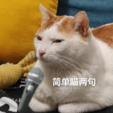 在国内濒临绝迹的贡茶 正在国外做奶茶皇帝